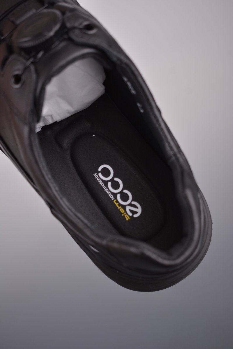 Ecco Pu Zl view