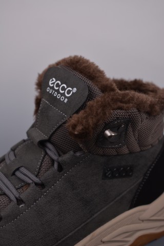 Ecco Xy view 7