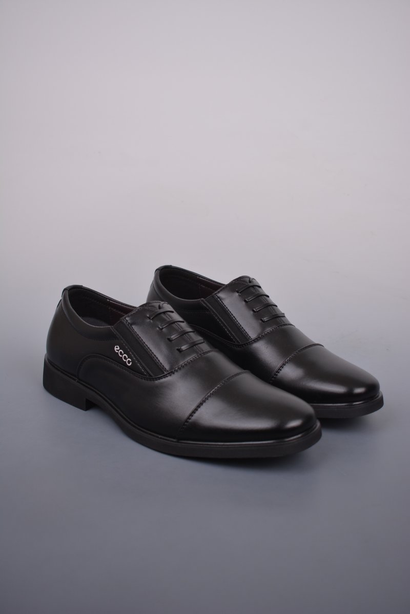 Ecco Zl