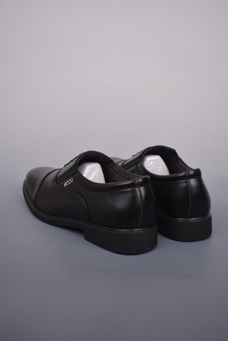 Ecco Zl view