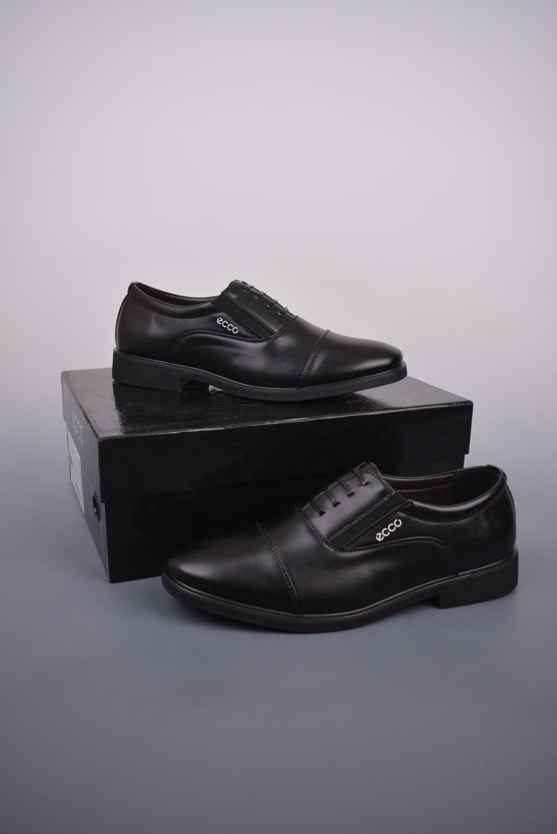Ecco Zl view