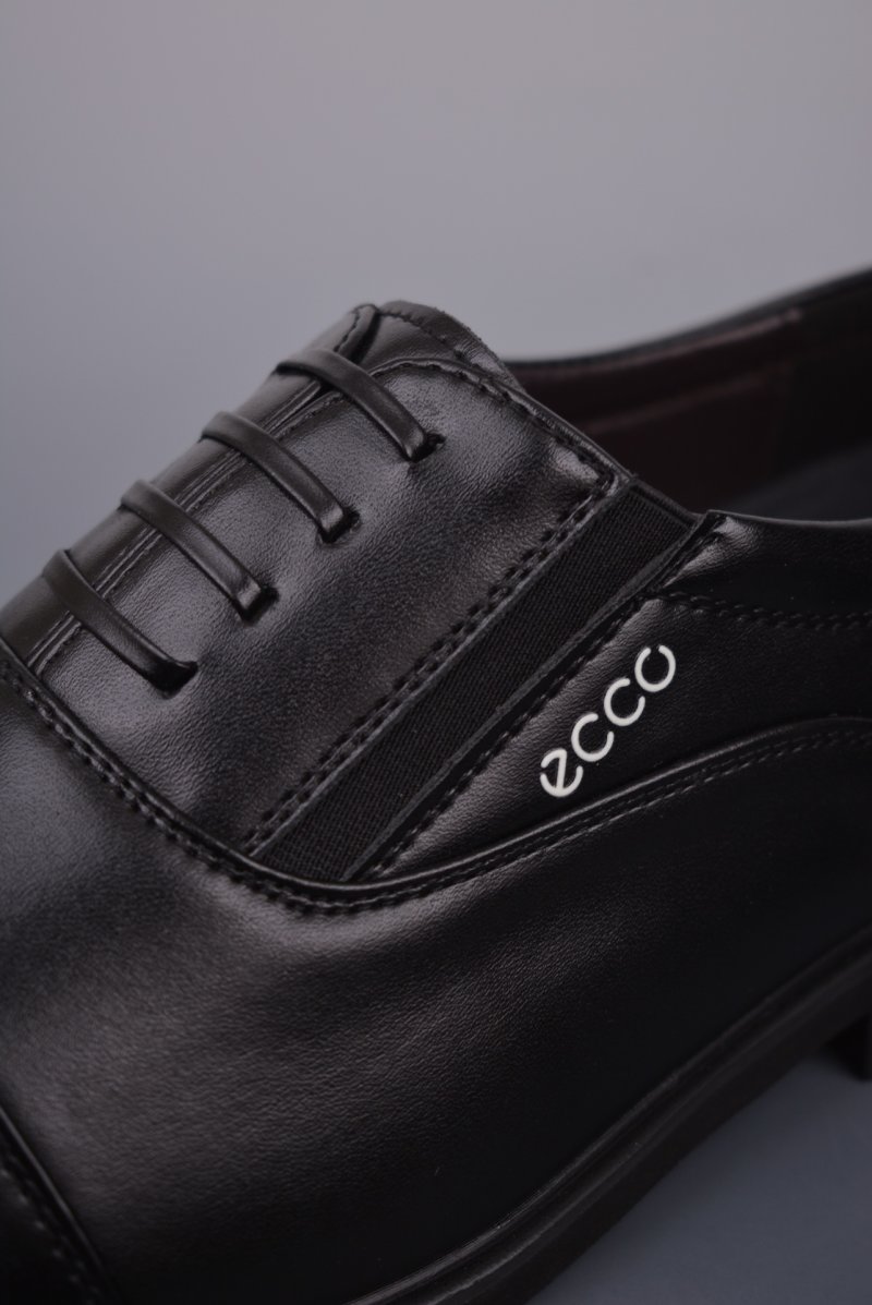 Ecco Zl view
