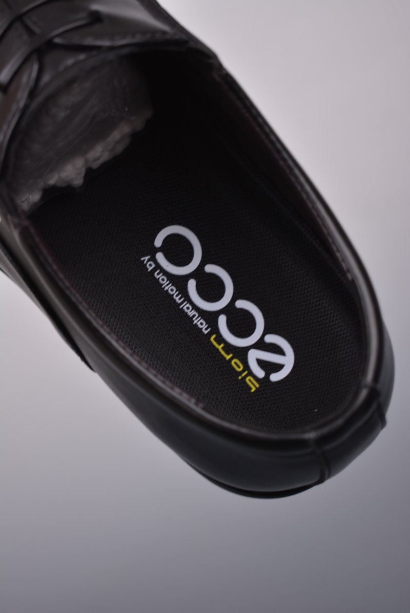 Ecco Zl view