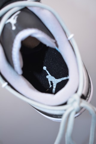 Air Jordan 1 Low view 9