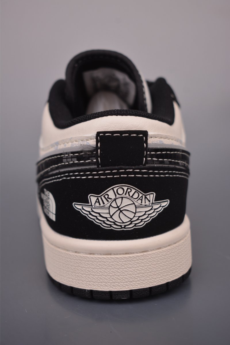 Air Jordan 1 'The North Face' view