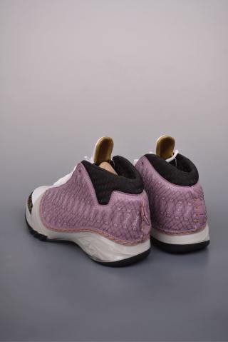 Air Jordan 23 view 2