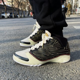 TITAN x Jordan Air 23 'Black / White / Gold' view 6