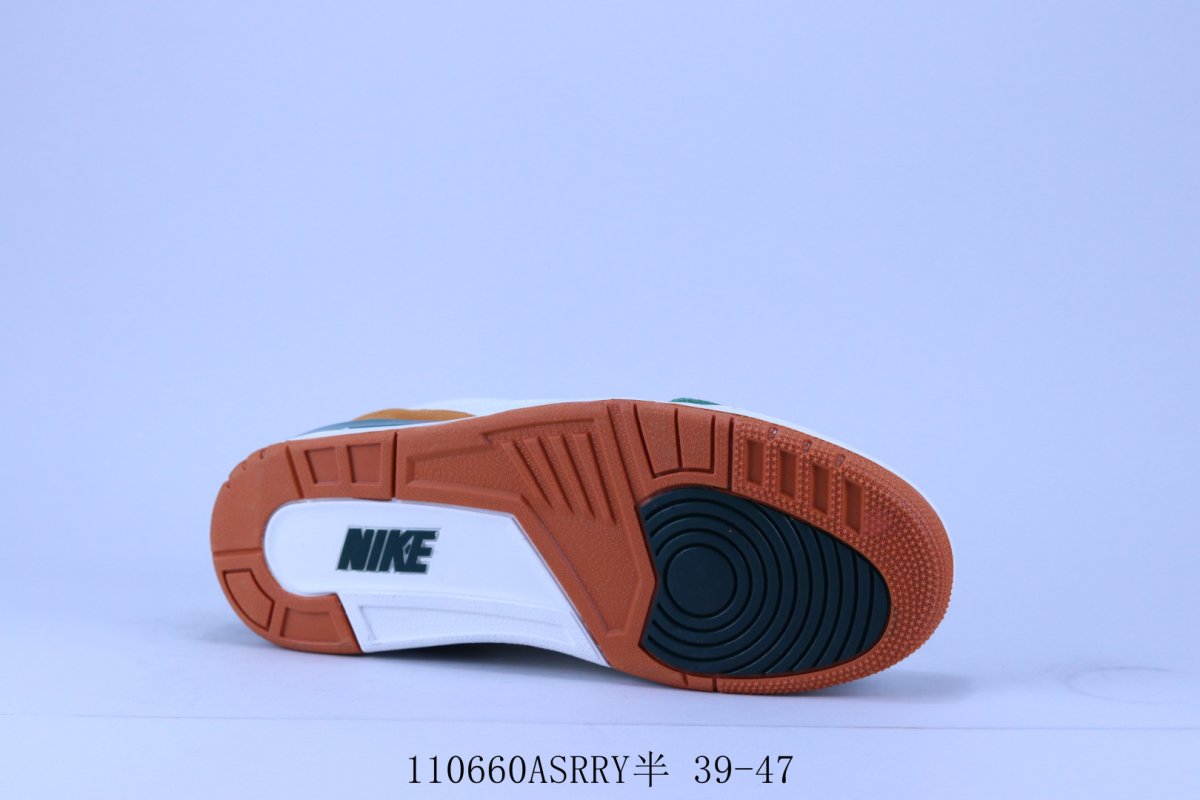 Air Jordan 3 view