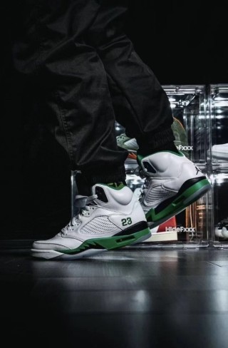 Air Jordan 5 Retro view 2