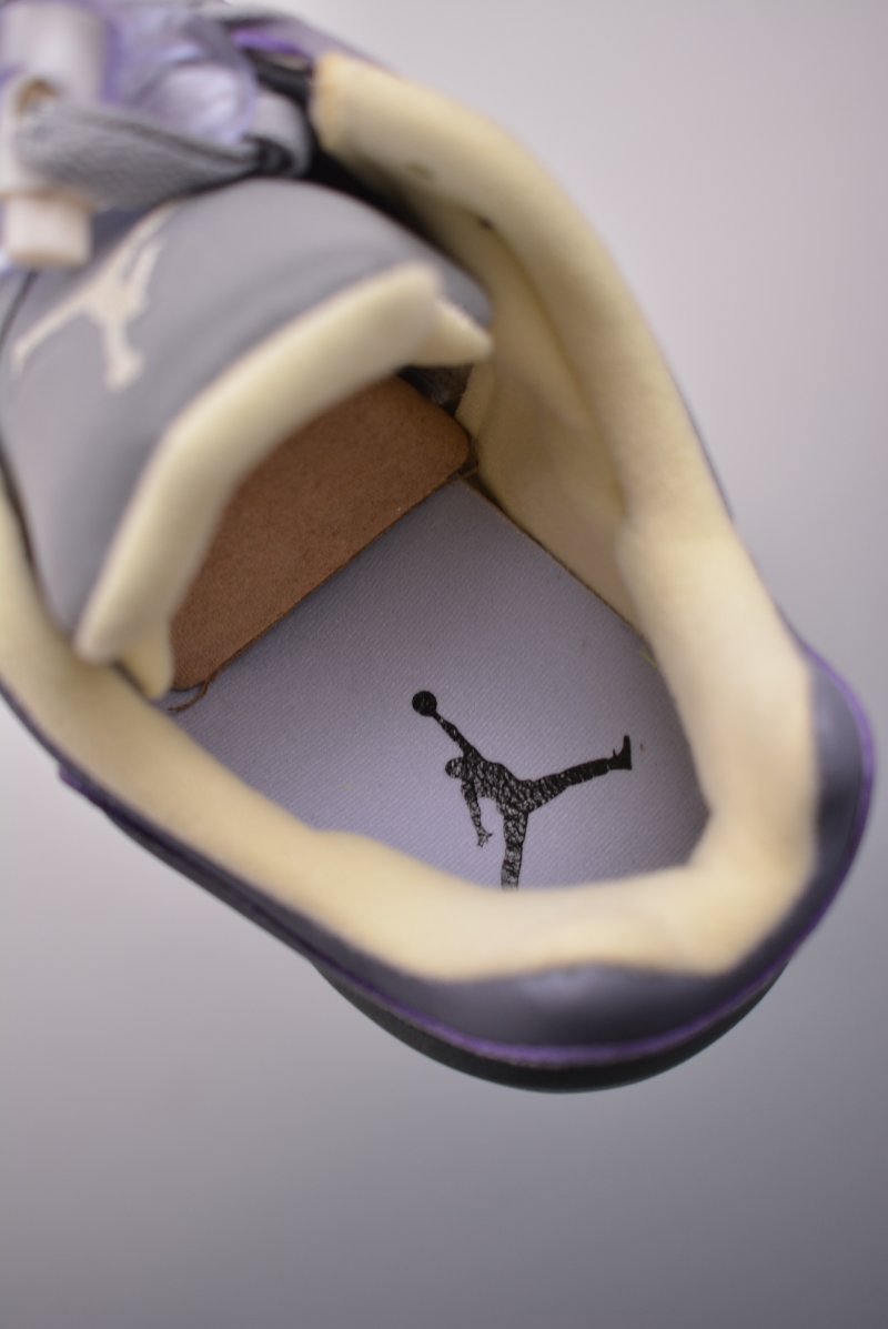 Air Jordan 5 Retro Low view