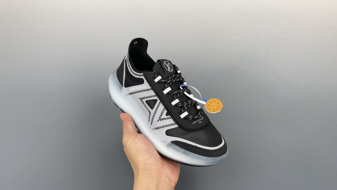 Louis Vuitton Trainer Skate Sneaker Low view