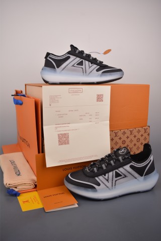 Louis Vuitton Trainer Skate Sneaker Low view 5