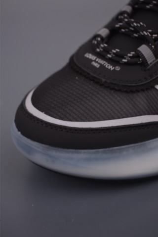 Louis Vuitton Trainer Skate Sneaker Low view 6