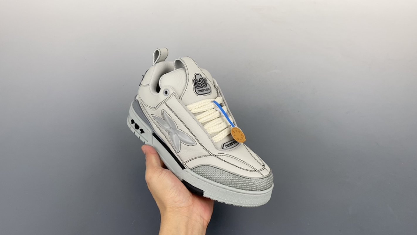 Louis Vuitton Trainer Skate Sneaker Low view