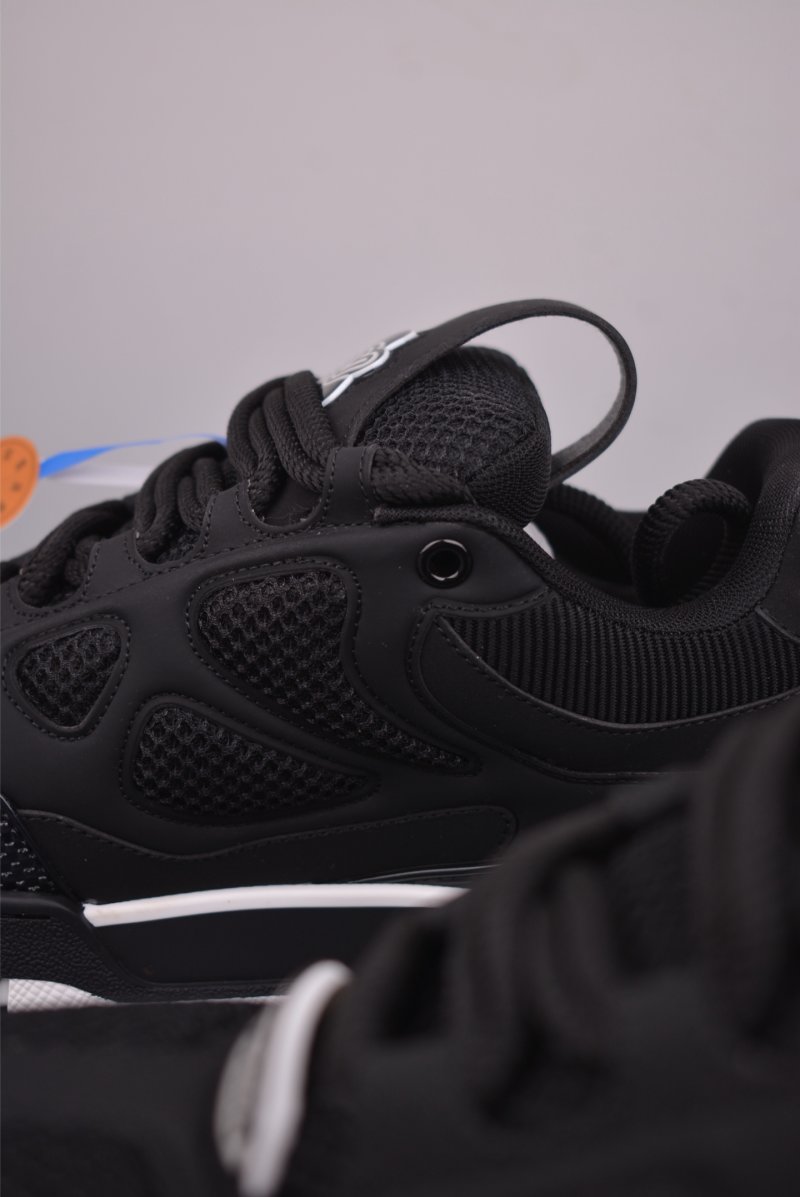 Louis Vuitton Trainer Skate Sneaker Low view