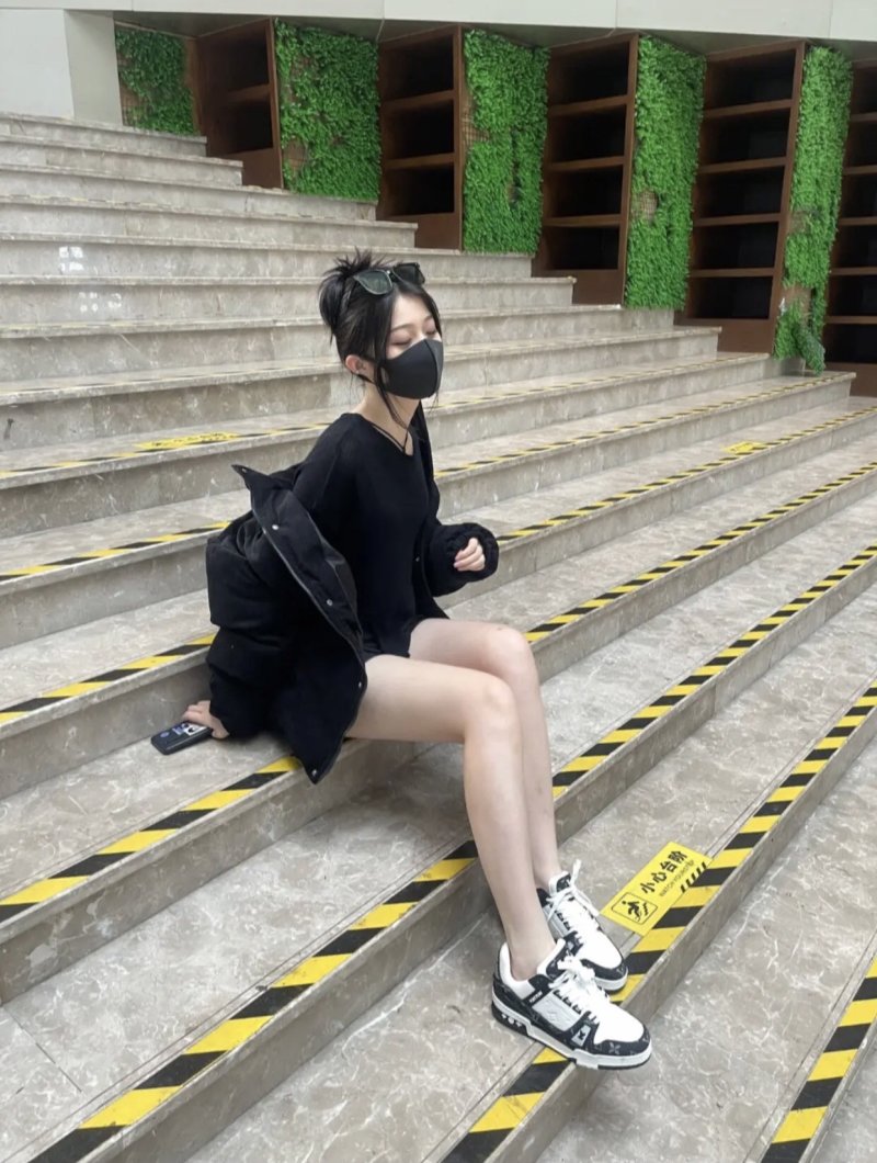 Louis Vuitton Trainer Sneaker Low
