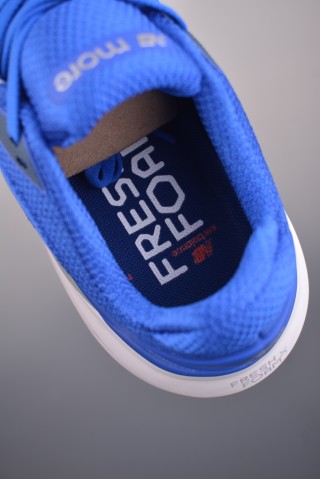 New Balance Fresh Foam view 9