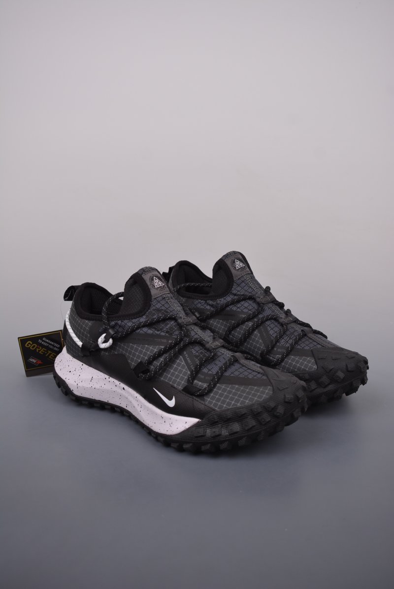 Nike ACG Mountain Fly Low GTX