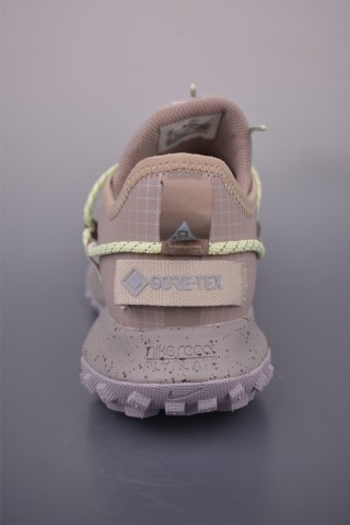 Nike ACG Mountain Fly Low GTX view 22