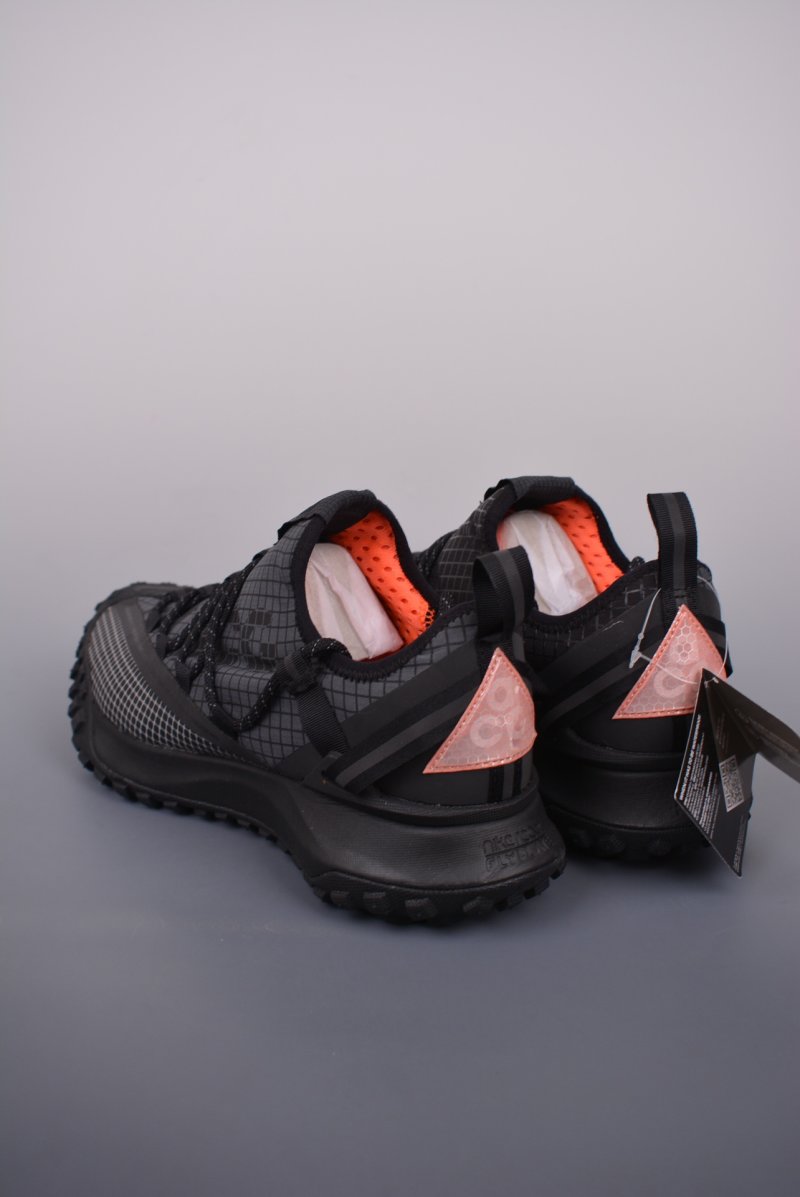 Nike ACG Mountain Fly Low GTX view