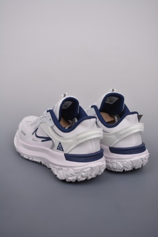 Nike ACG Mountain Fly GTX SE view 2