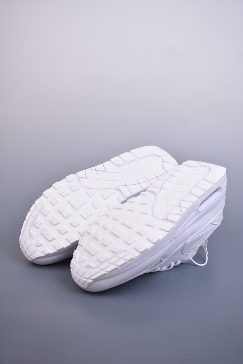 Nike Air Max 1 view