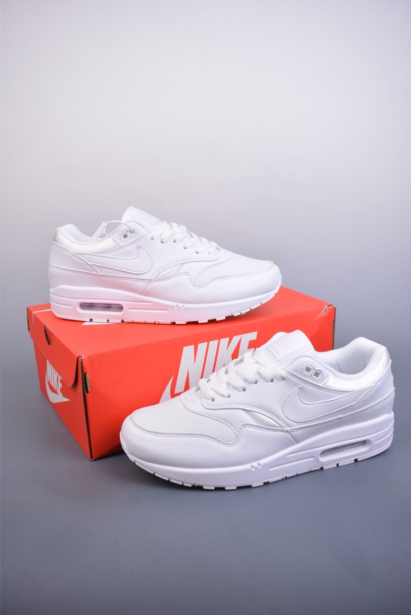 Nike Air Max 1 view