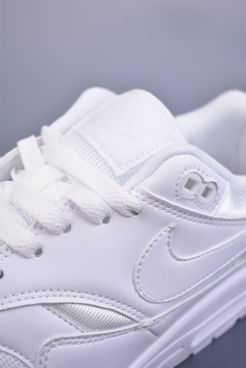 Nike Air Max 1 view
