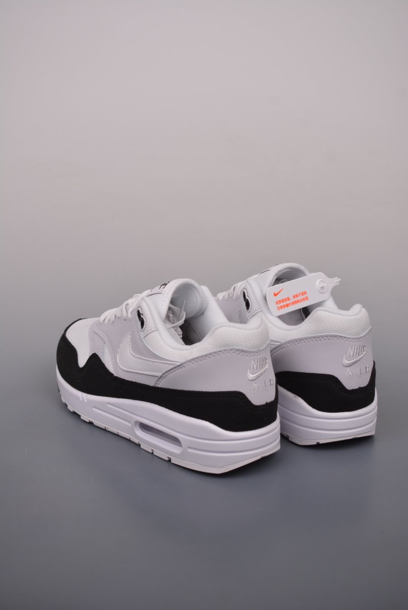 Nike Air Max 1 view
