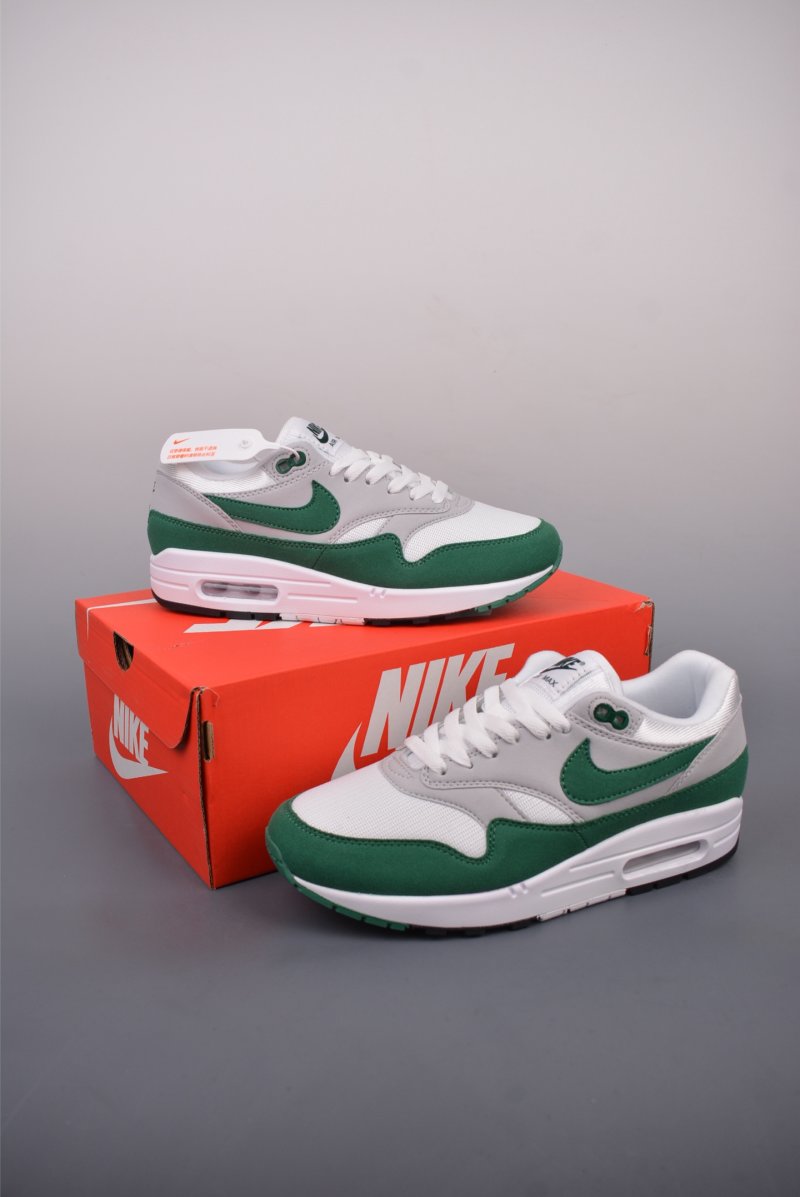 Nike Air Max 1 view