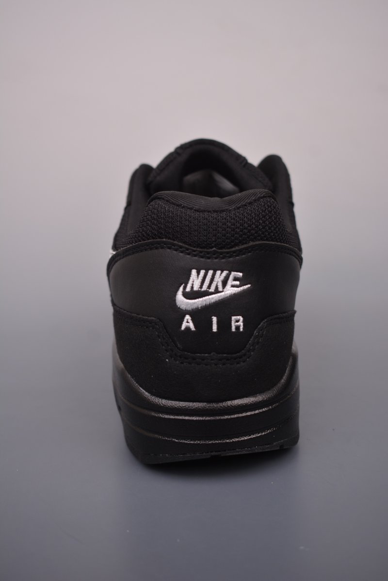 Nike Air Max 1 view