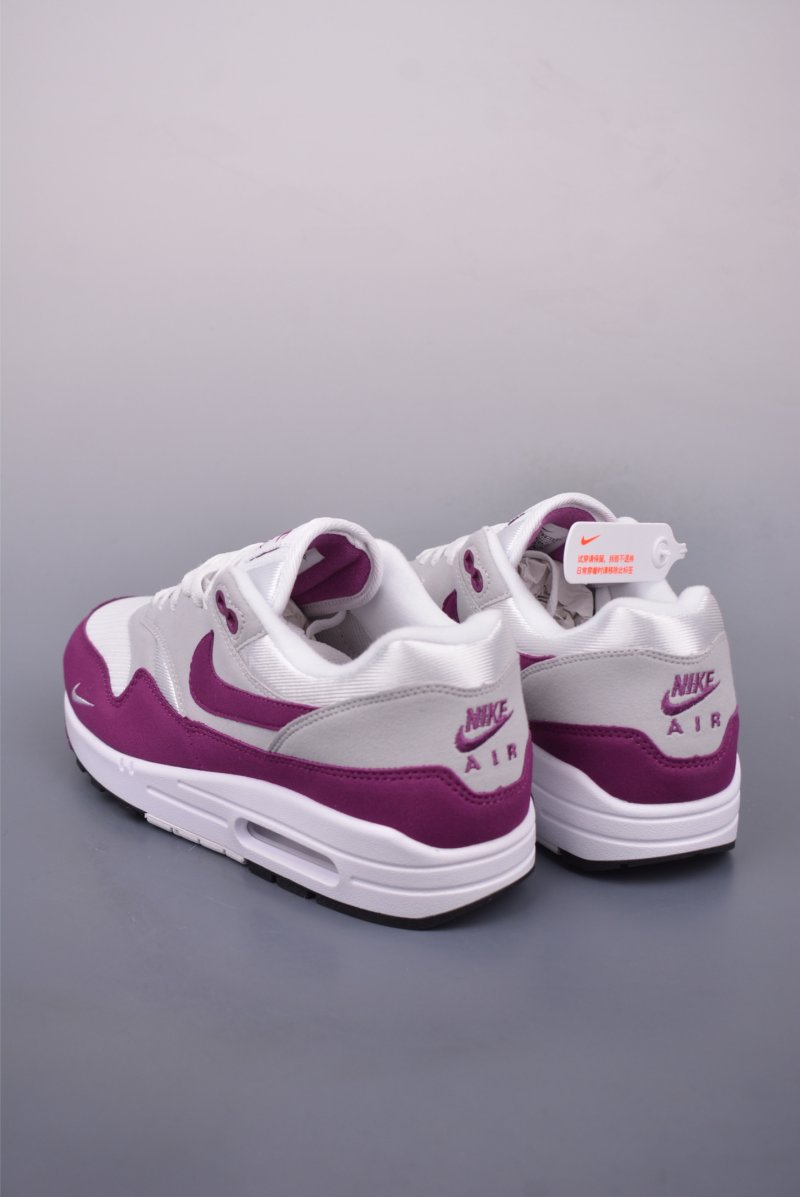 Nike Air Max 1 view