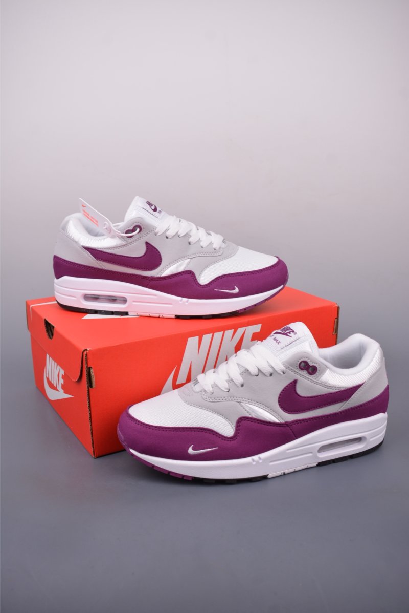 Nike Air Max 1 view