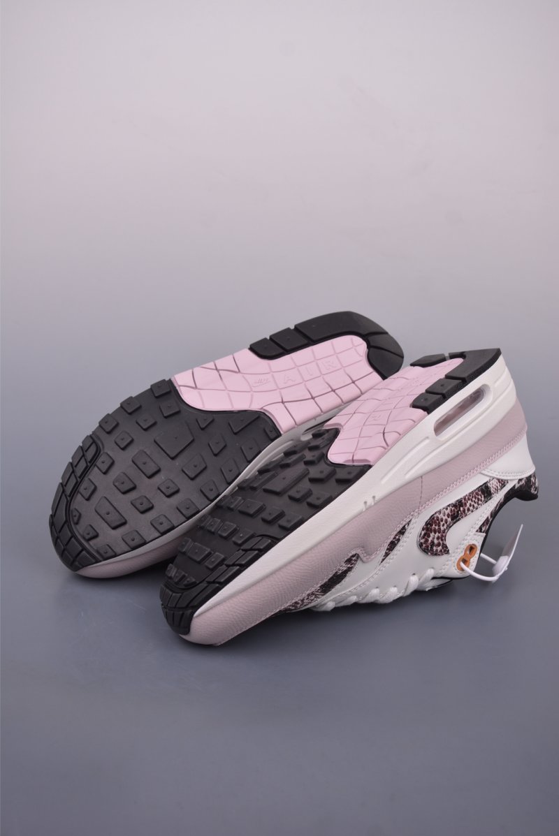 Nike Air Max 1 view