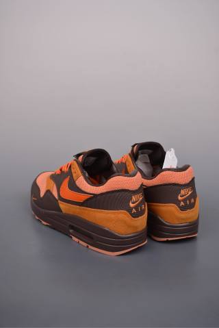 Nike Air Max 1 view 2