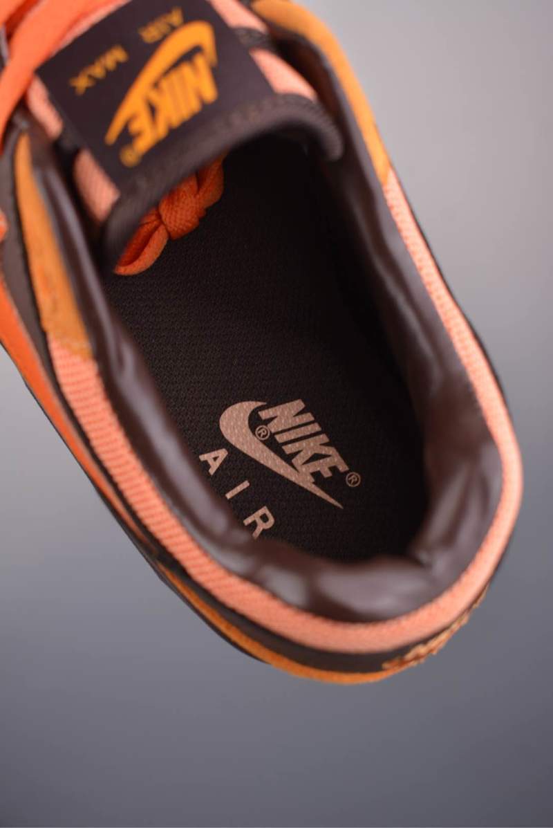 Nike Air Max 1 view