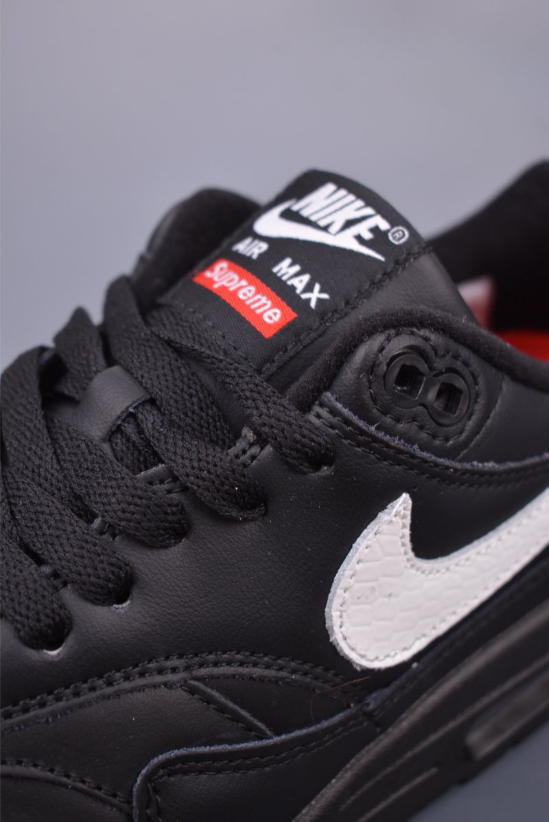 Nike Air Max 1 view