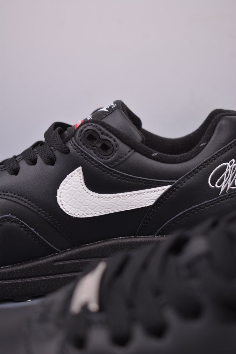 Nike Air Max 1 view