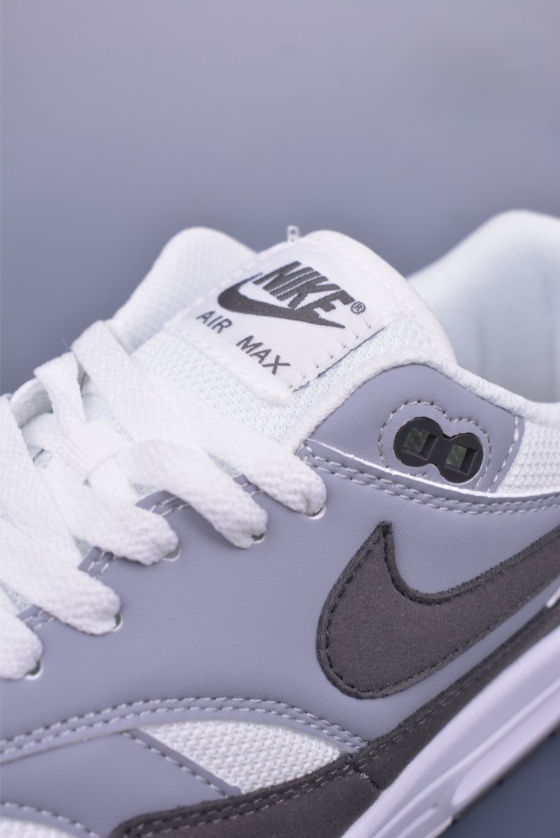Nike Air Max 1 view