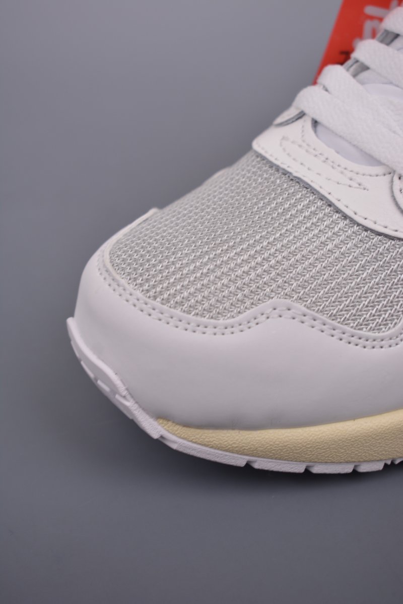 Nike Air Max 1 PRM view