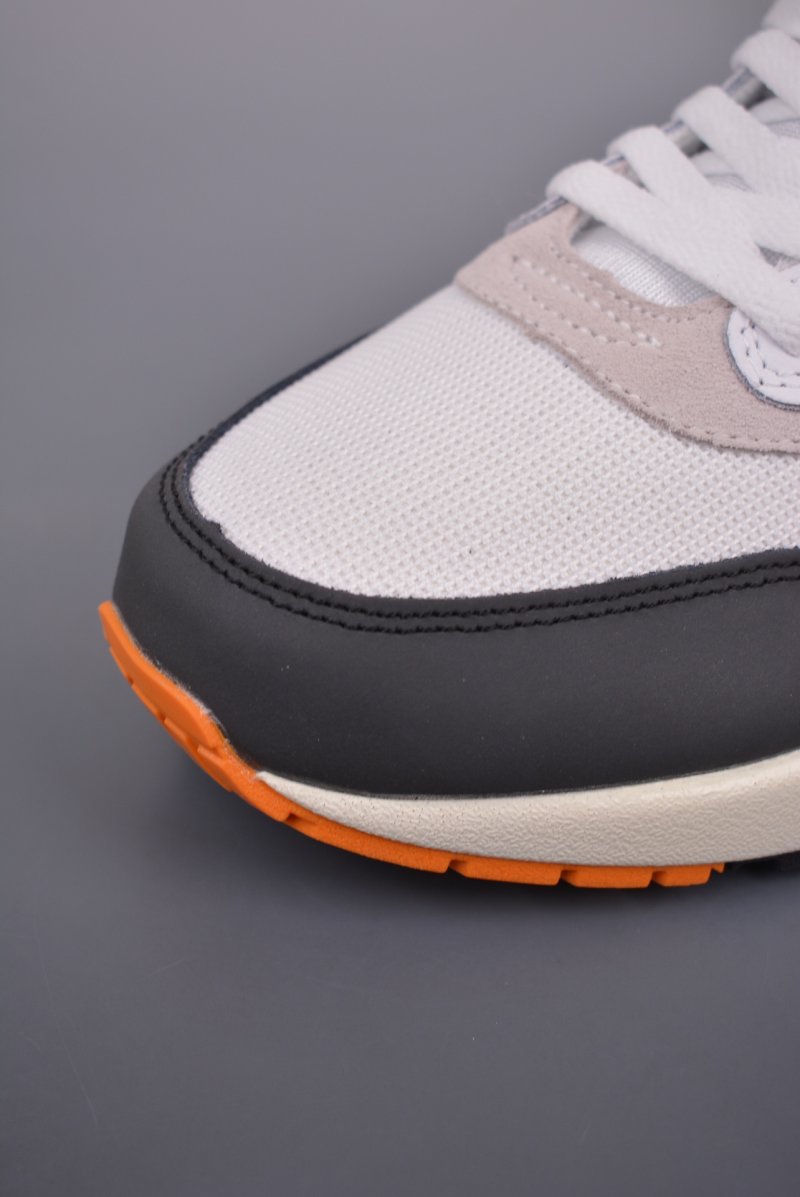 Nike Air Max 1 PRM view