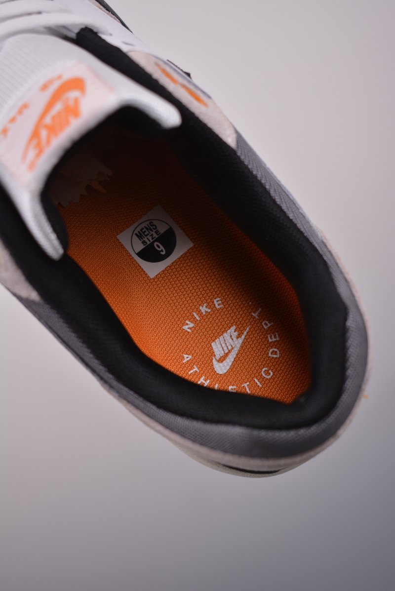 Nike Air Max 1 PRM view