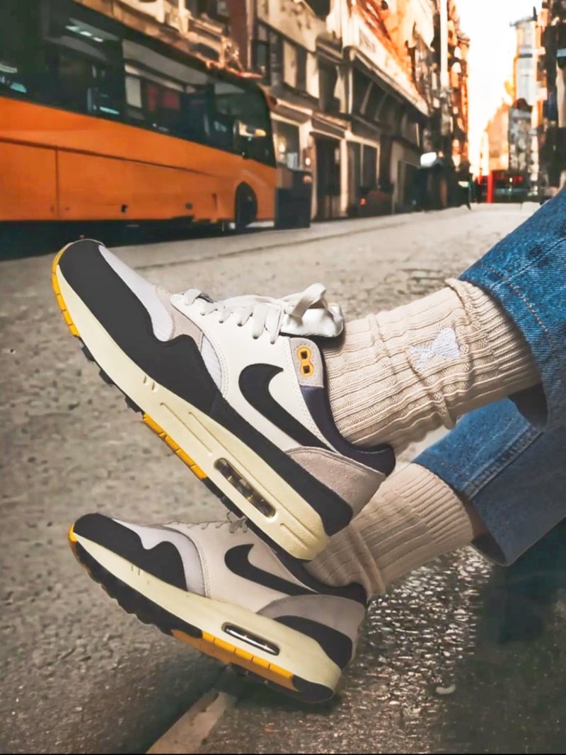 Nike Air Max 1 PRM view