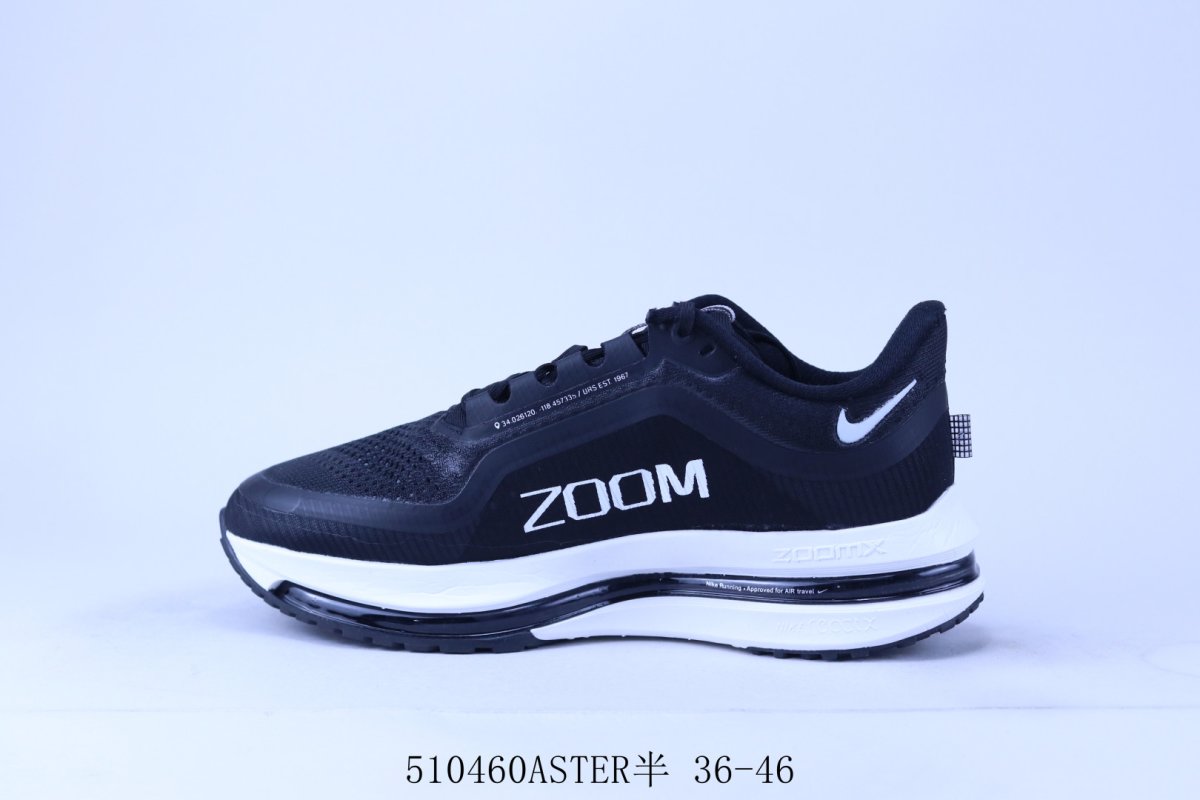 Nike Air Pegasus Premium view