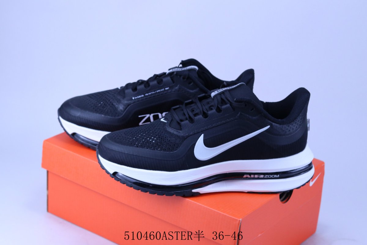 Nike Air Pegasus Premium view