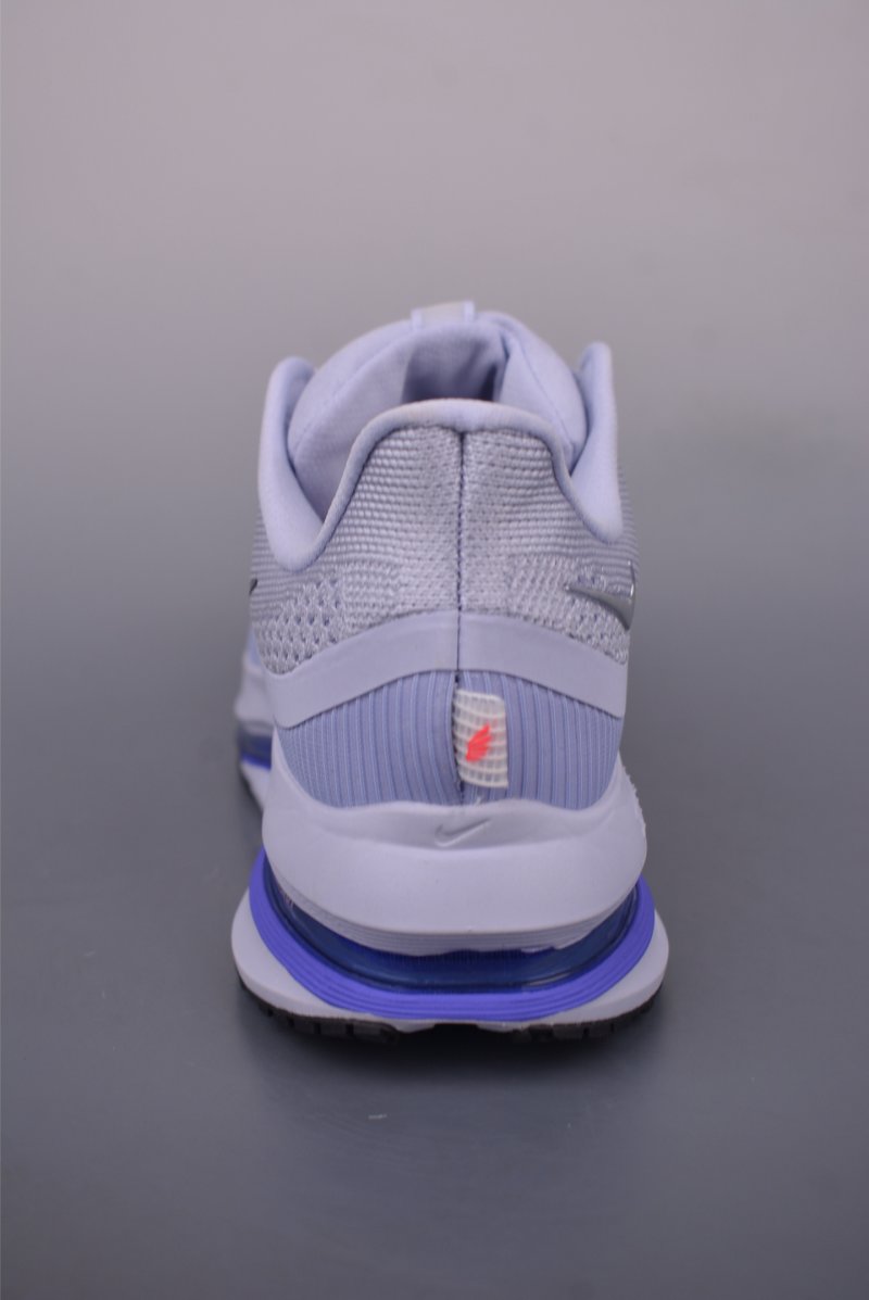 Nike Air Zoom Pegasus Premium view