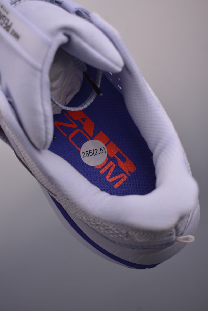 Nike Air Zoom Pegasus Premium view