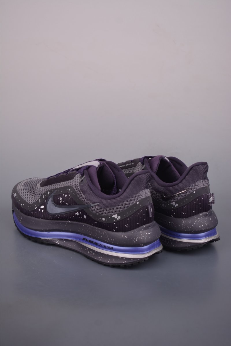 Nike Pegasus Premium view