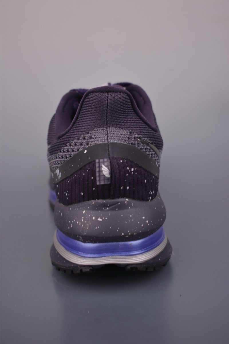 Nike Pegasus Premium view