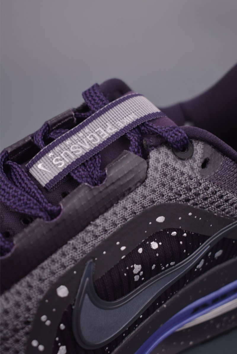 Nike Pegasus Premium view